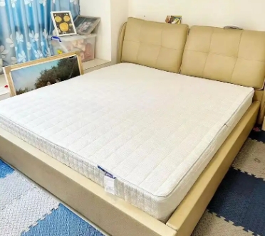 <a href=http://www.fgxw.net.cn/news_article.html?news_id=174>天津床垫厂家</a>
